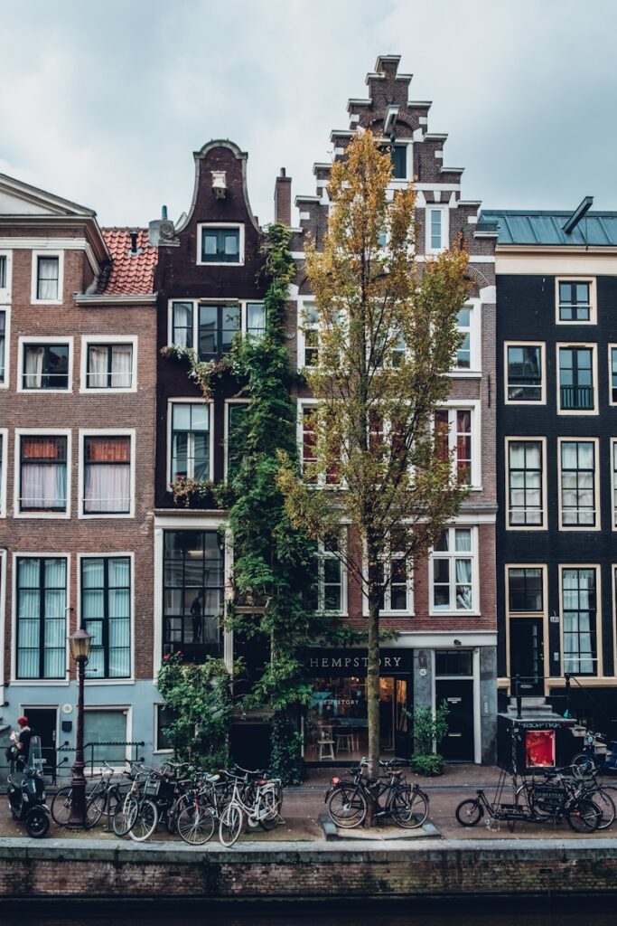 parked bicycles in front of establishment during daytime, Amsterdam