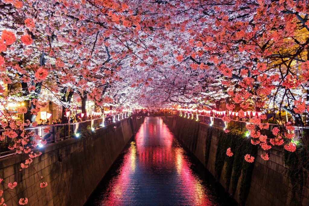 Exploring Japan: Culture, Cuisine, and Landmarks