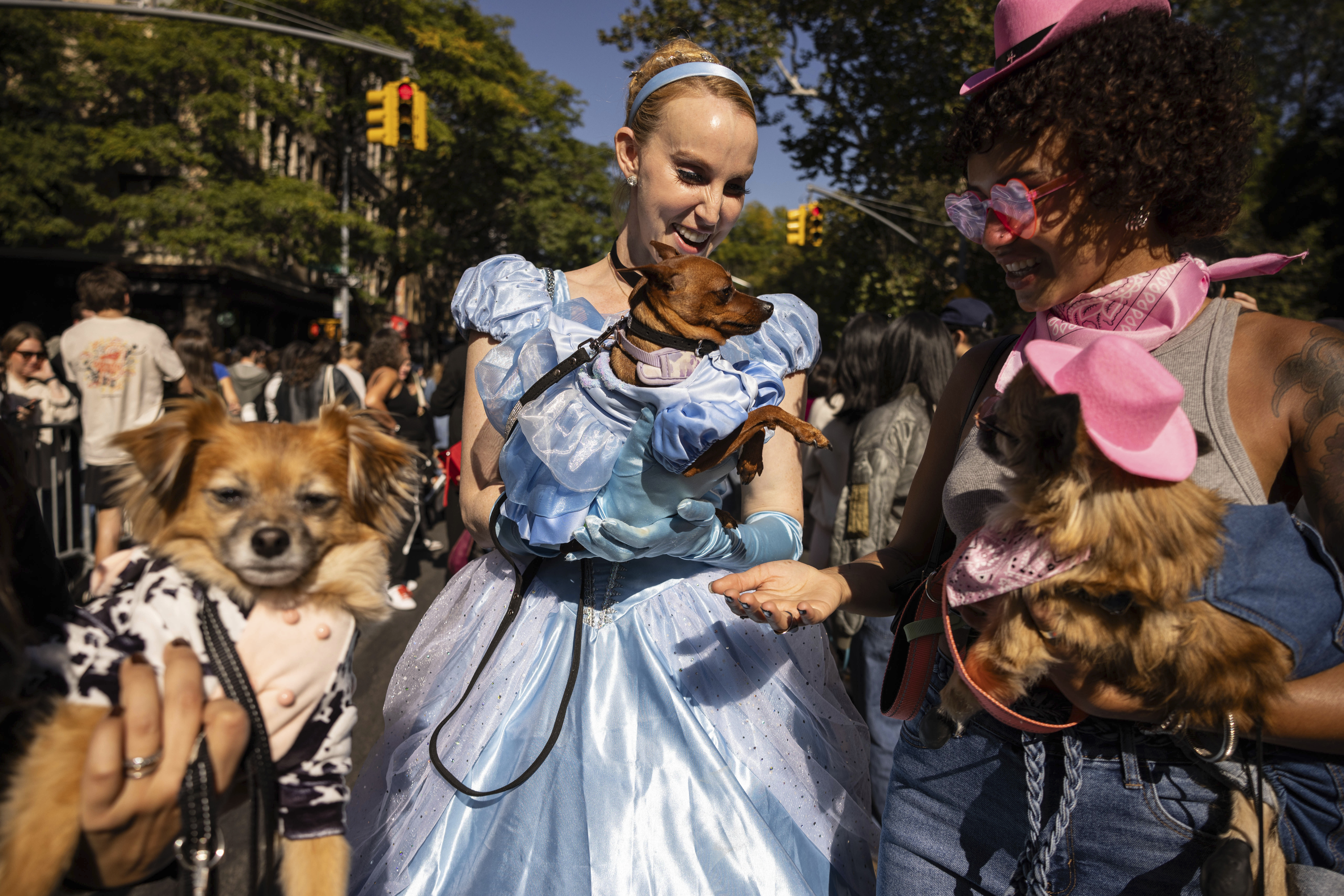 APTOPIX NYC Halloween Dog Parade