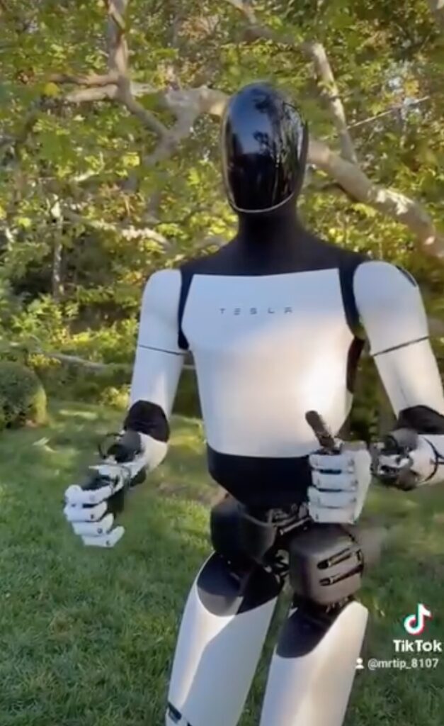 Kim Kardashian's Tesla Bot (Photo: Kim Kardashian TikTok)