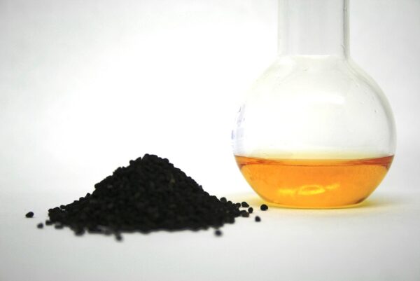 Truth About Black Seed Oil - nigella, black cumin oil, fixed oil, nigella, nigella, nigella, nigella, nigella