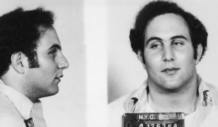 The Shadowy Murderer Terrorized