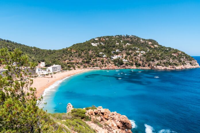 to do in Ibiza - green trees near body of water during daytime