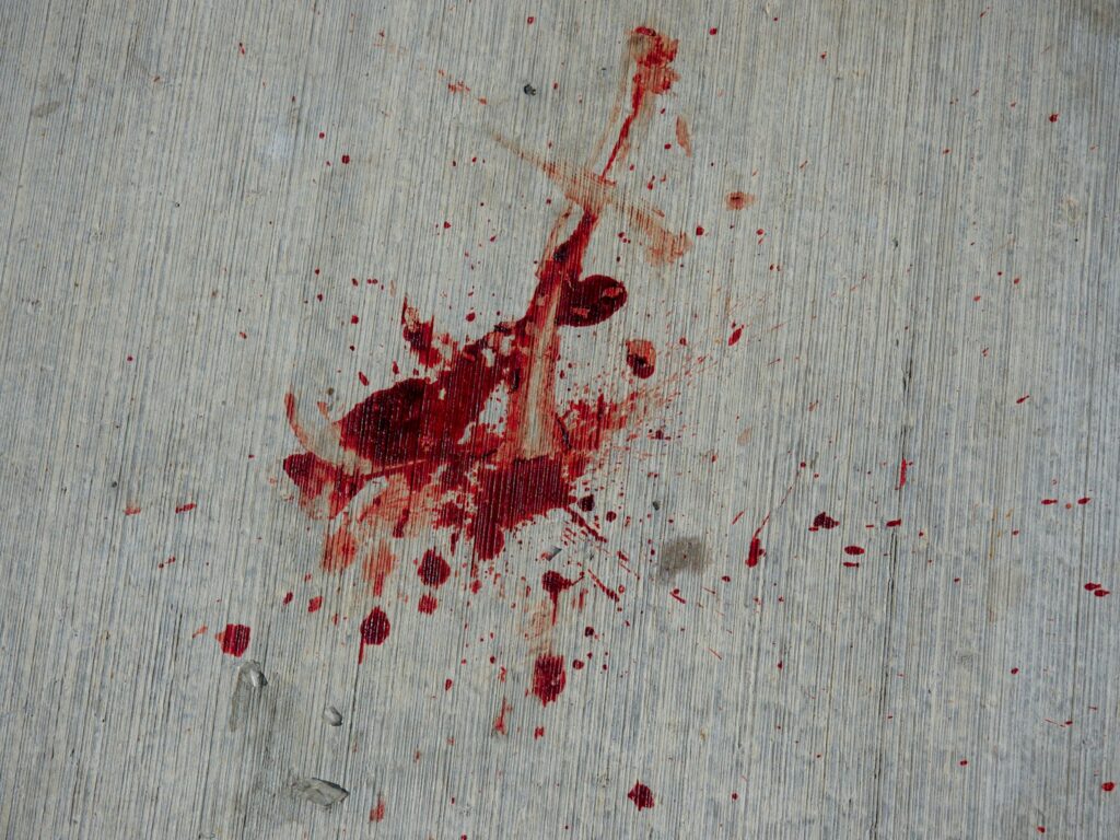 The Shadowy Murderer Terrorized