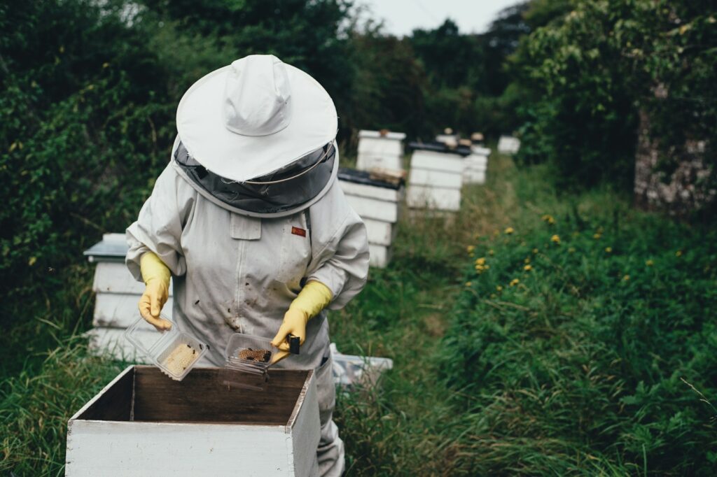 5 Reasons Watch Beekeeper 2