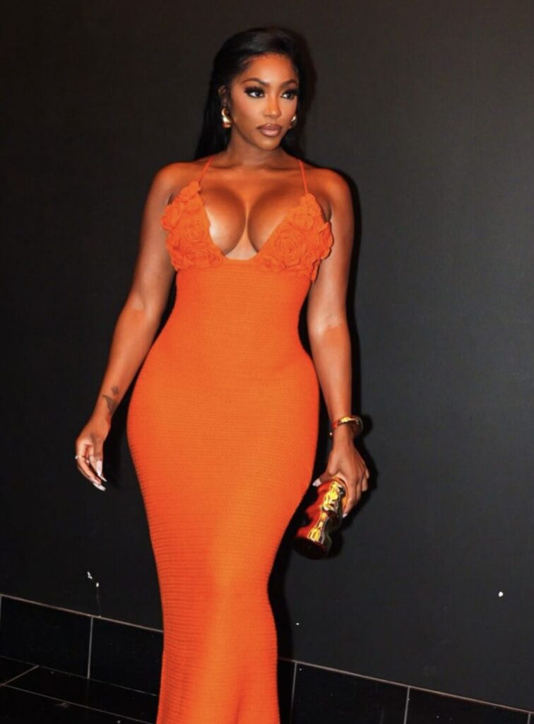 Porsha Williams Income Revealed