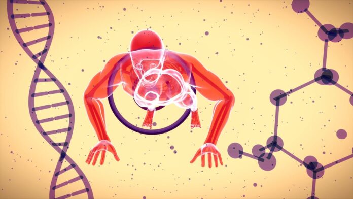 Lifespan of 1000 Years - body, pushups, exercise, building, man, people, anatomy, medical, muscle, brain, biceps, fitness, gym, health, physiology, longevity, power, immunity, sport, biology, molecular, pushups, pushups, physiology, physiology, physiology, physiology, longevity, longevity, longevity, longevity, longevity