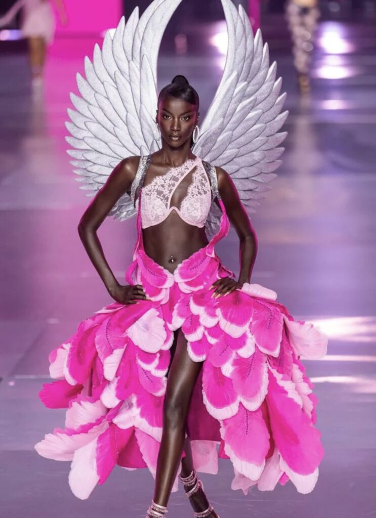 5 Models Confirmed Victoria Secret Show