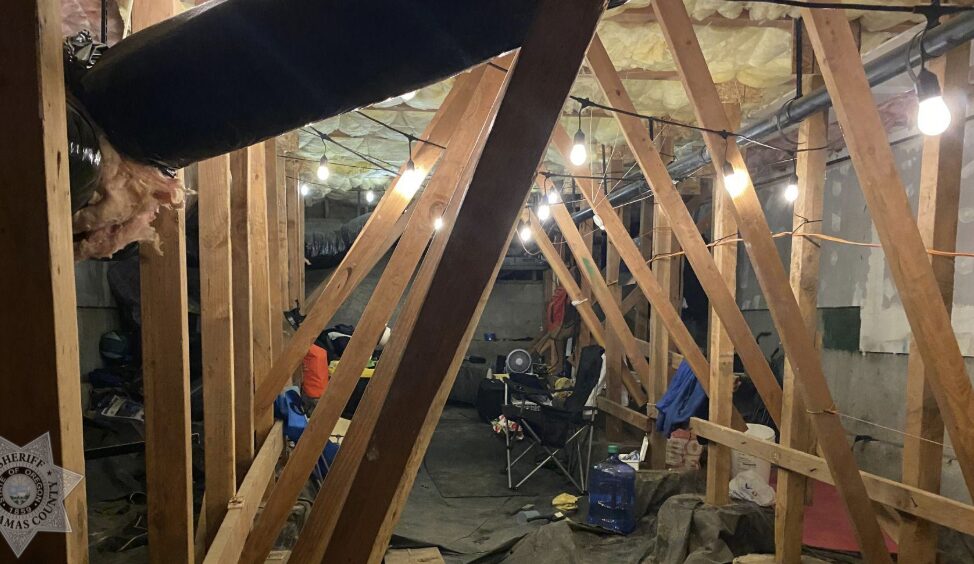Squatter in Crawl Space