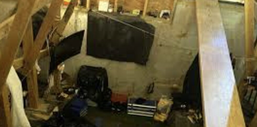 Squatter in Crawl Space