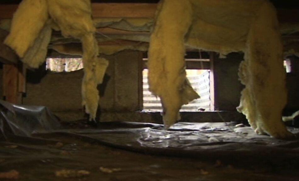 Squatter in Crawl Space