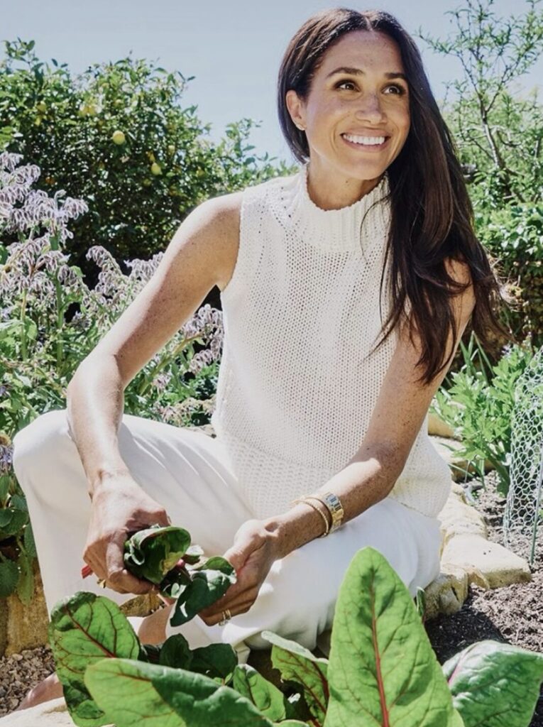 Meghan Markle to Join Forces
