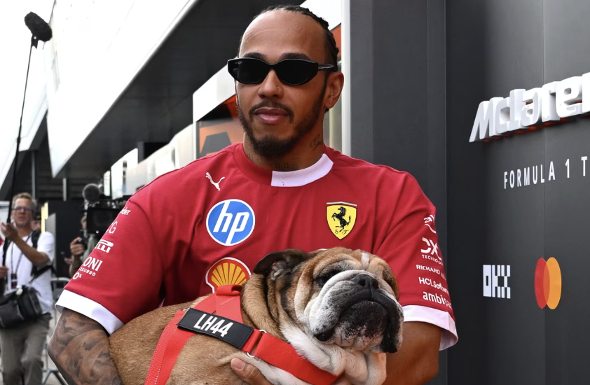 Lewis Hamilton Dog Fighting for Life in Hospital
