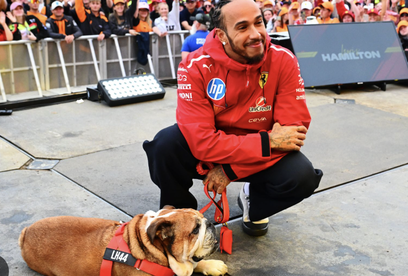 Lewis Hamilton Dog Fighting for Life in Hospital