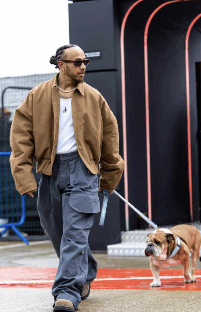 Lewis Hamilton Dog Fighting for Life in Hospital