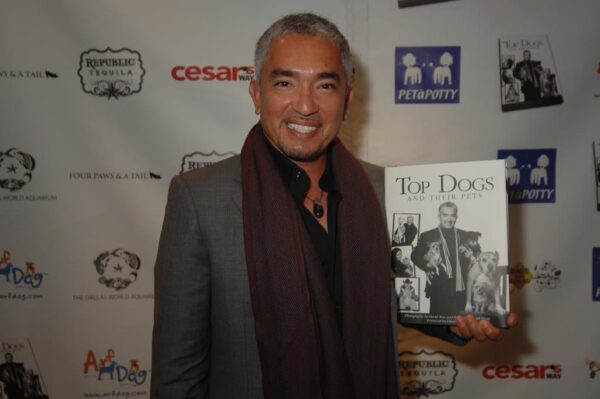 cesar Millan dog
