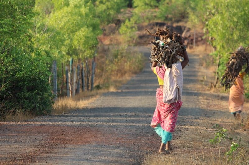 Woman carrying wood in a rural area