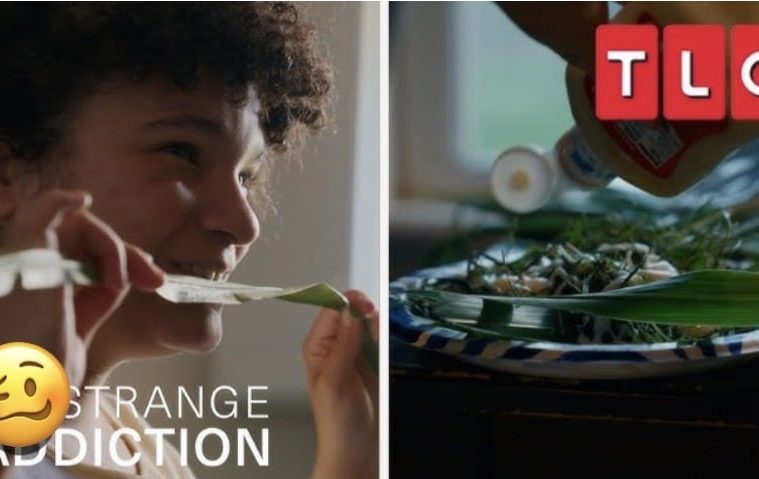 TLC ‘My Strange Addiction’