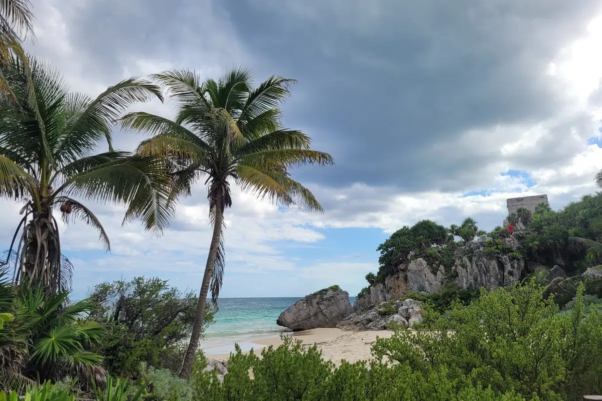 Tulum's Paradise Shattered by Cartel Violence